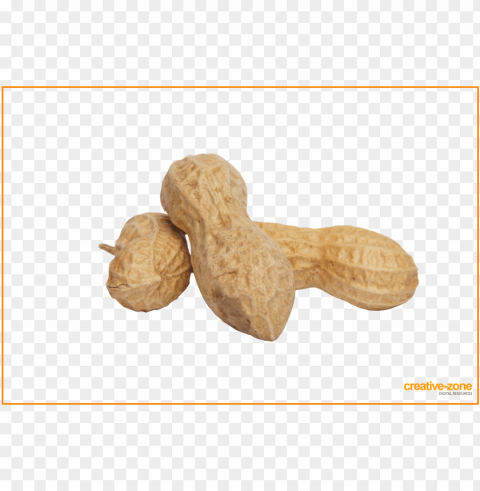eanuts arachis in shell - peanut PNG files with alpha channel PNG transparent with Clear Background ID 3efedaca
