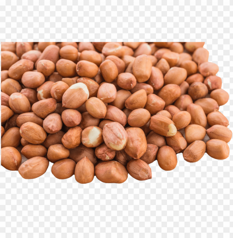 eanuts - peanut Alpha channel PNGs