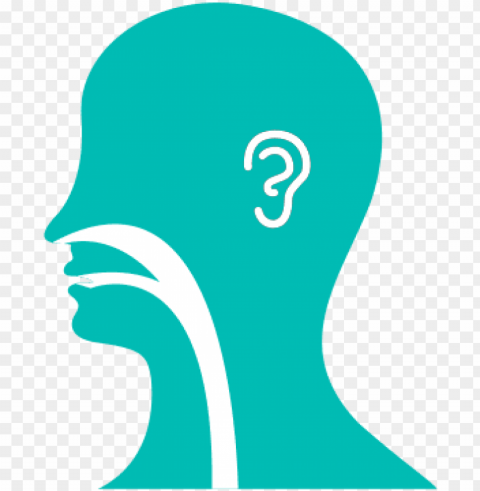 ear nose throat illustration - ear nose and throat logo PNG images for banners