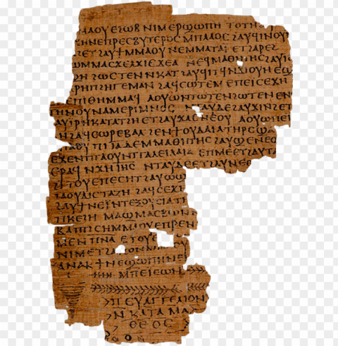 ear shallow lakes and rivers grew a tall reed called - ancient egypt papyrus Isolated Artwork in HighResolution PNG