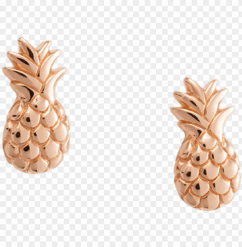 earrings - pineapple Isolated Object with Transparent Background in PNG