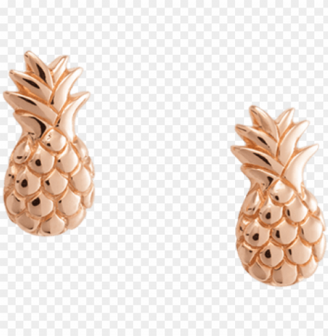 Earrings - Pineapple Isolated Object With Transparent Background In PNG