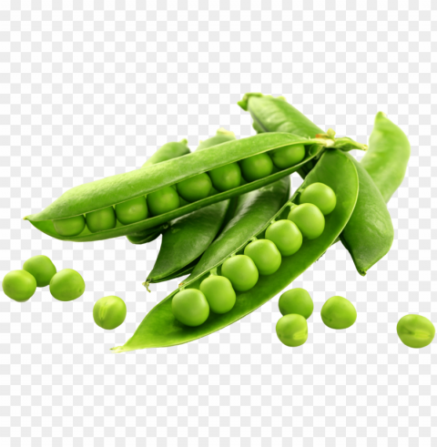 eas - english pea snow pea Isolated Design Element in HighQuality PNG