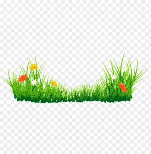 easter border - grass with flower clipart Clear Background PNG Isolated Element Detail