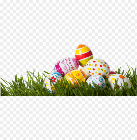 easter eggs in grass - transparent easter eggs PNG transparency