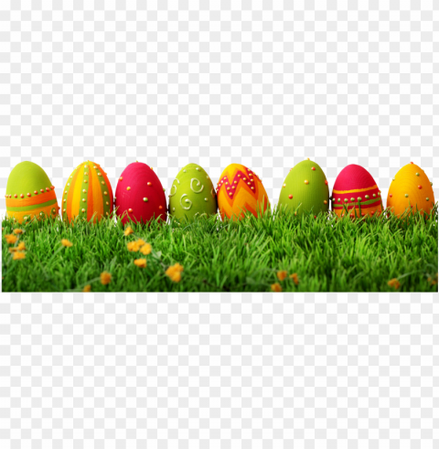 easter grass - eggs easter Transparent PNG Isolated Element with Clarity PNG transparent with Clear Background ID 968355d6