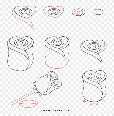 Easy drawing Rose PNG pictures with no background required