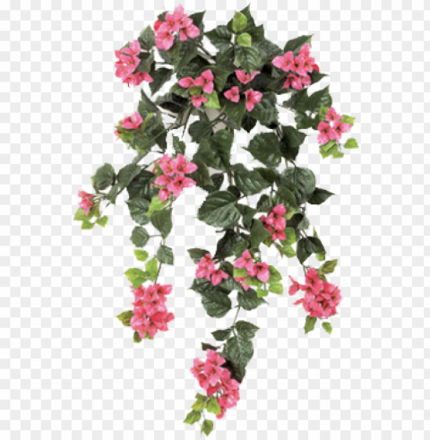 editing image - ivy with flower Transparent graphics