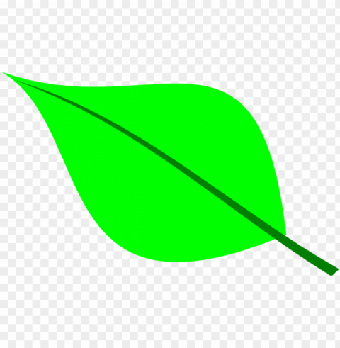 een leaf outline clipart - leaf clipart Transparent background PNG images selection