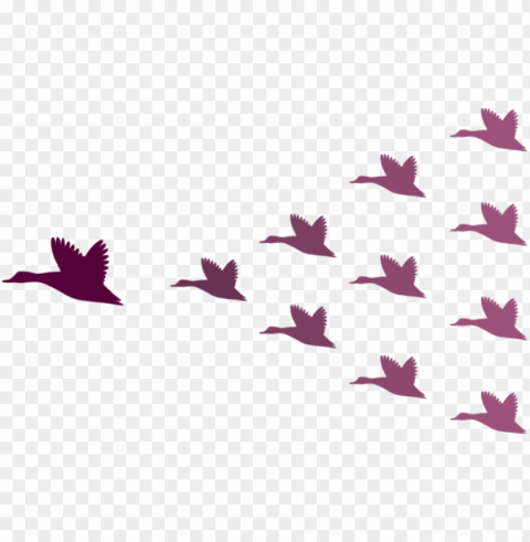 eese flock leadership - leadership geese PNG images free download transparent background