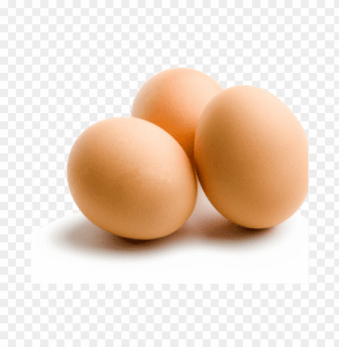 egg PNG files with clear background collection