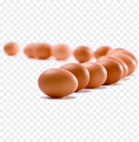 egg PNG files with no background wide assortment