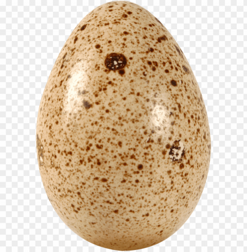 egg PNG for business use