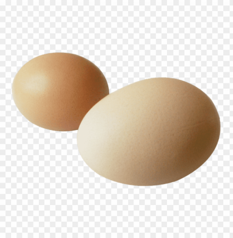 egg PNG for digital art