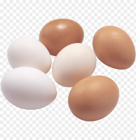 egg PNG for educational projects