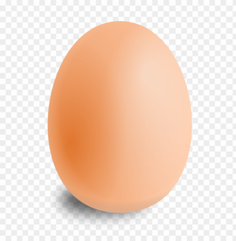 eggs food PNG with no background diverse variety