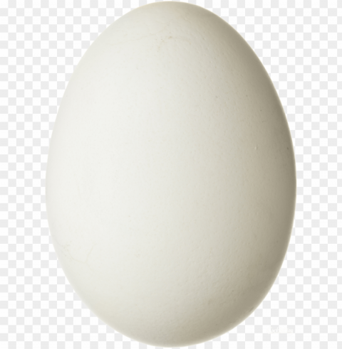 eggs food file PNG transparent photos massive collection