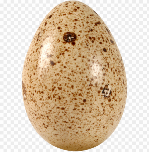eggs food image PNG transparent images for social media