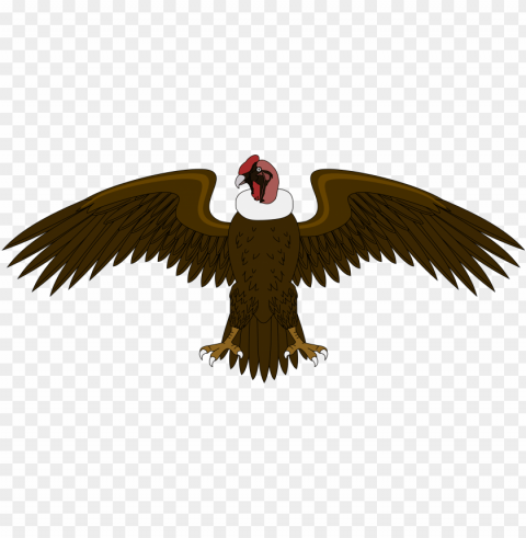 el condor de colombia Transparent PNG download