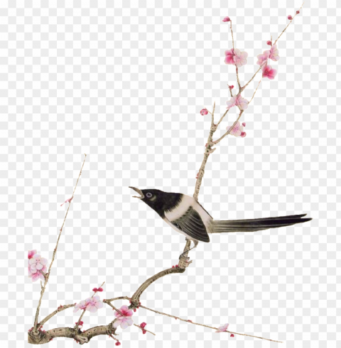 el pájaro elementos en las ramas - bird-and-flower painti Clear Background PNG Isolated Design