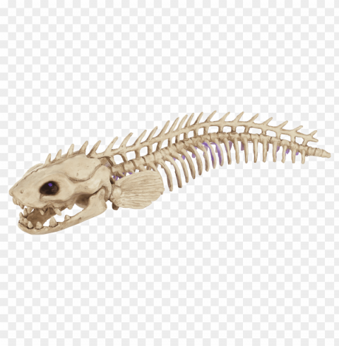 electric eel - ankylosaurus Isolated Subject on Clear Background PNG