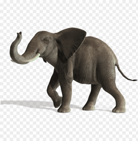 Elephant File PNG For Web Design