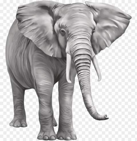 elephant large Clear Background PNG Isolated Element Detail