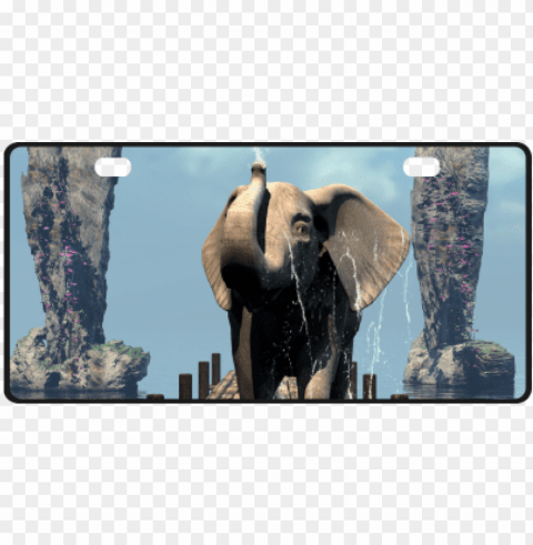 elephant on a jetty shower curtain PNG format