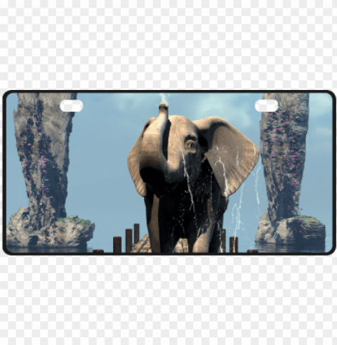 Elephant On A Jetty Shower Curtain PNG Format