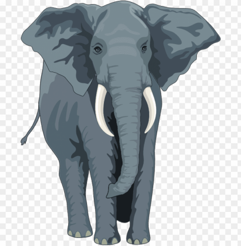 elephant royalty free Clear background PNG graphics