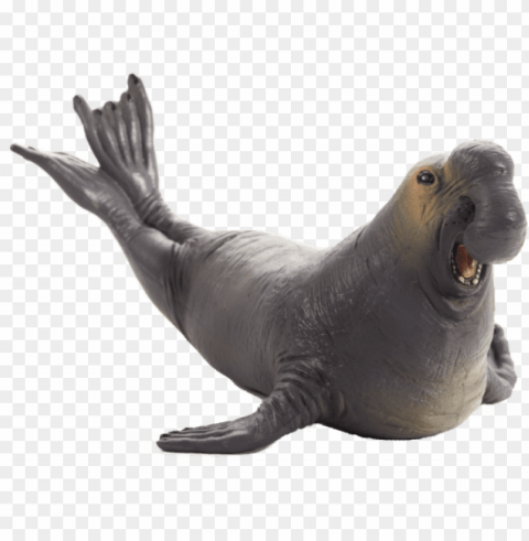 elephant seal clipart transparent - mojo sea elephant PNG with clear overlay