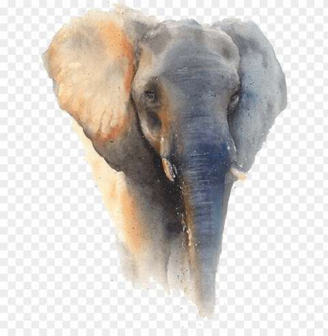 elephant sticker - framed poster prints - elephant by eric sweet PNG high resolution free