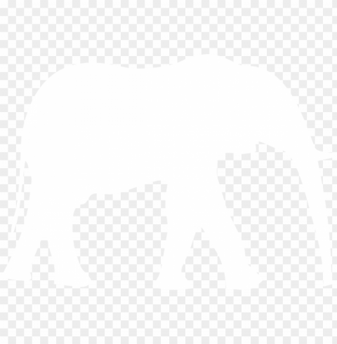 elephant white Clear Background Isolated PNG Object