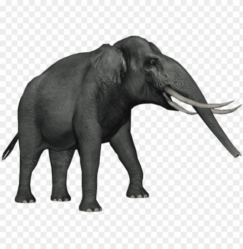 elephas hysudrindicus PNG icons with transparency PNG transparent with Clear Background ID 0d90fd39