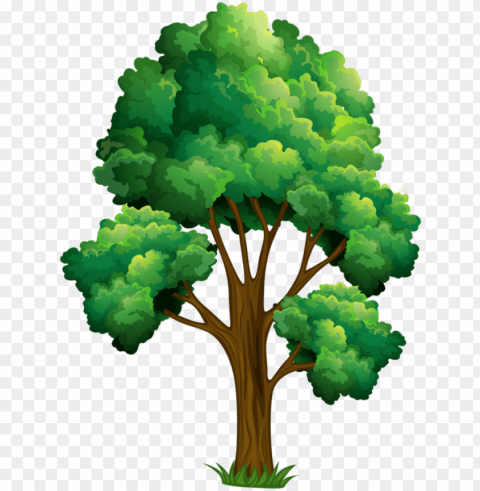 elm tree clipart - realistic tree clip art PNG pictures with alpha transparency