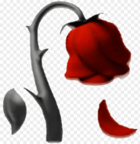 emoji rose redrose redrose red sticker black emojisti - step by step dead rose drawi HighQuality PNG with Transparent Isolation