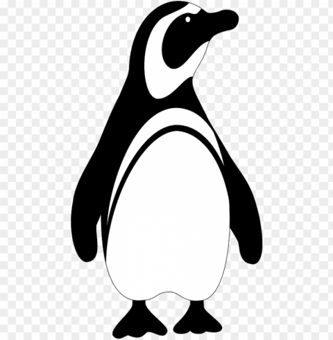 emperor penguin chick head clip art at clker - clip art penguin black and white Isolated Subject on HighQuality Transparent PNG