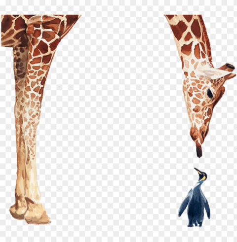 enguin giraffe bird poster painting giraffes and - giraffe and penguin together Isolated Item with Clear Background PNG
