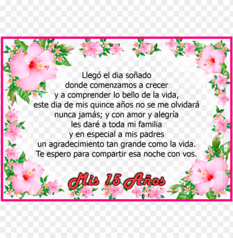eniales frases para quinceañeras modernas y divertidas - frases de amor para quinceañeras Transparent PNG Graphic with Isolated Object