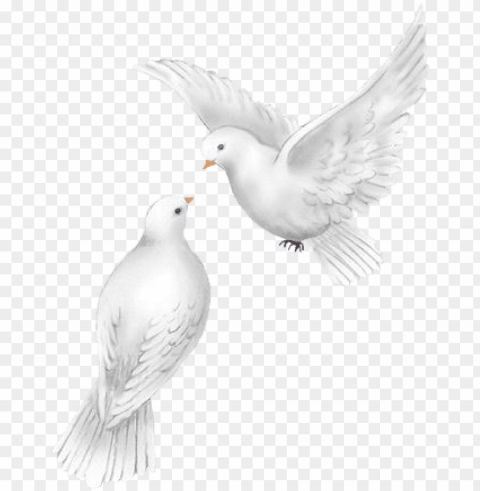 enny parker - palomas blancas de boda PNG transparent icons for web design