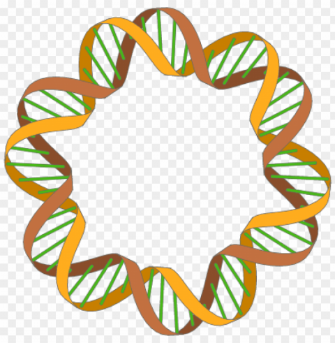 enter image description here - dna double helix circle PNG photos with clear backgrounds
