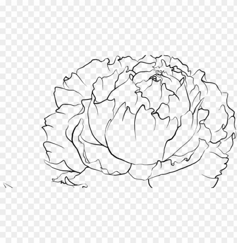 eony line drawing at getdrawings - peony flower drawing PNG files with transparent backdrop