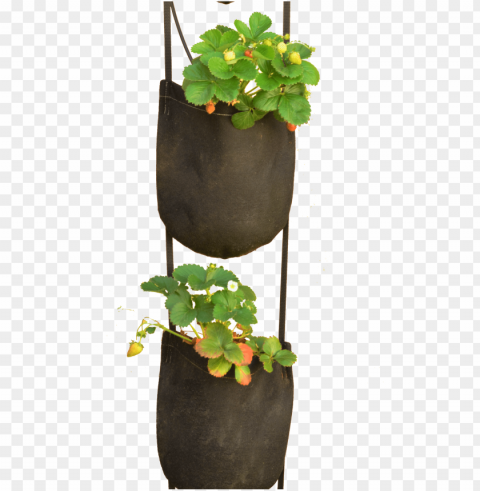 eopot specializes in fabric plant pots - hanging plant pots PNG transparent elements complete package