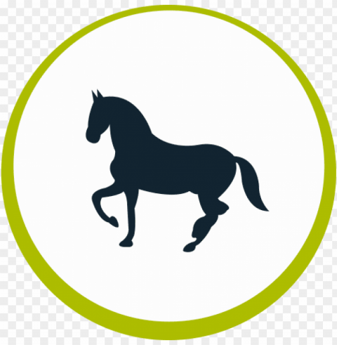 equine - icono caballo PNG Image with Isolated Graphic