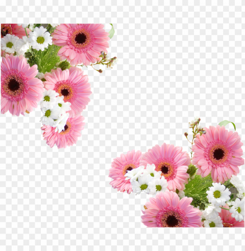erbera schnittblume pink - gerbera Isolated Object in Transparent PNG Format