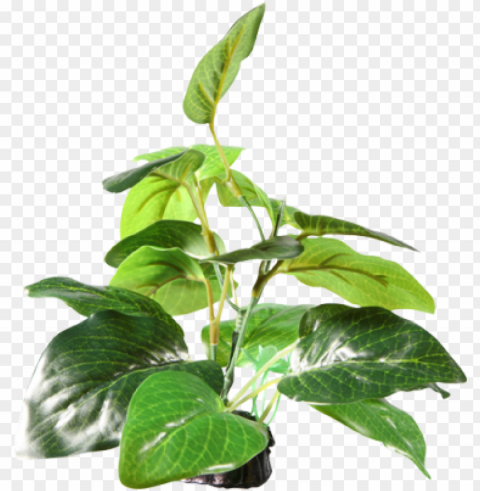 esta hermosa planta decorativa fluval aporta un aspecto - fluval artificial plants uk Clean Background Isolated PNG Character