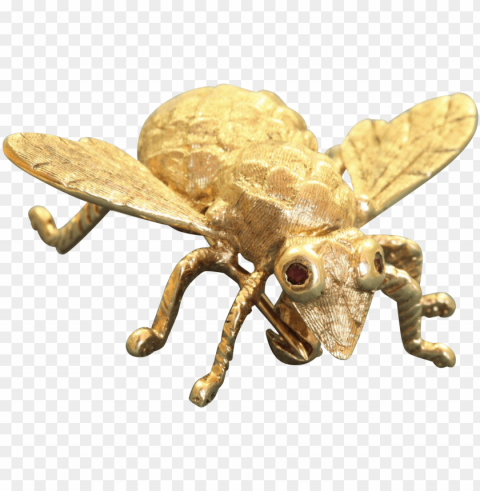 estate 14 k large bug pin with ruby eyes Transparent PNG images collection