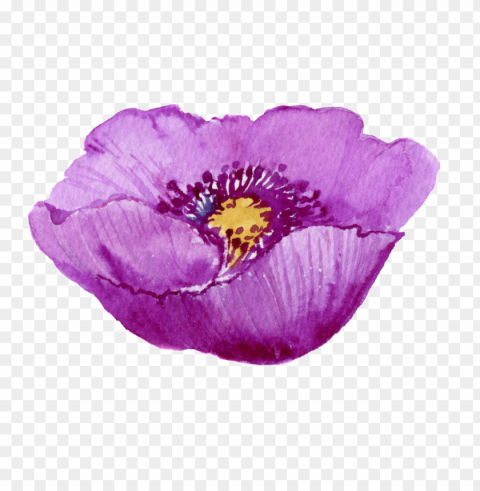 este gráficos es pintado a mano de la flor morada - flower PNG Object Isolated with Transparency