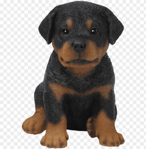 et pal rottweiler puppy - rottweiler puppy transparent PNG Image with Clear Isolated Object PNG transparent with Clear Background ID 916728af