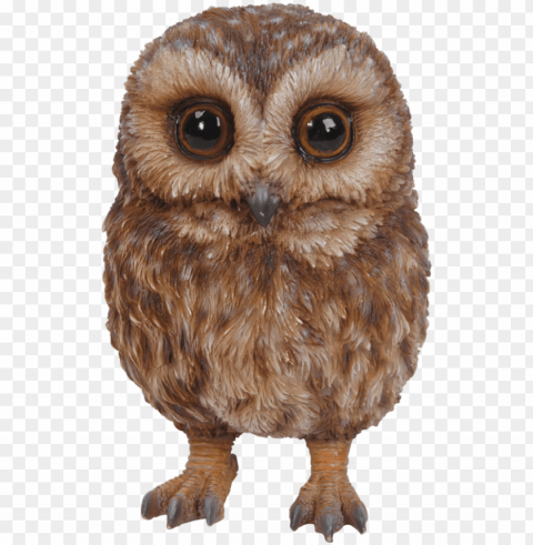 et pals baby tawny owl - vivid arts pet pals baby tawny owl - resin garden ornament PNG with transparent backdrop